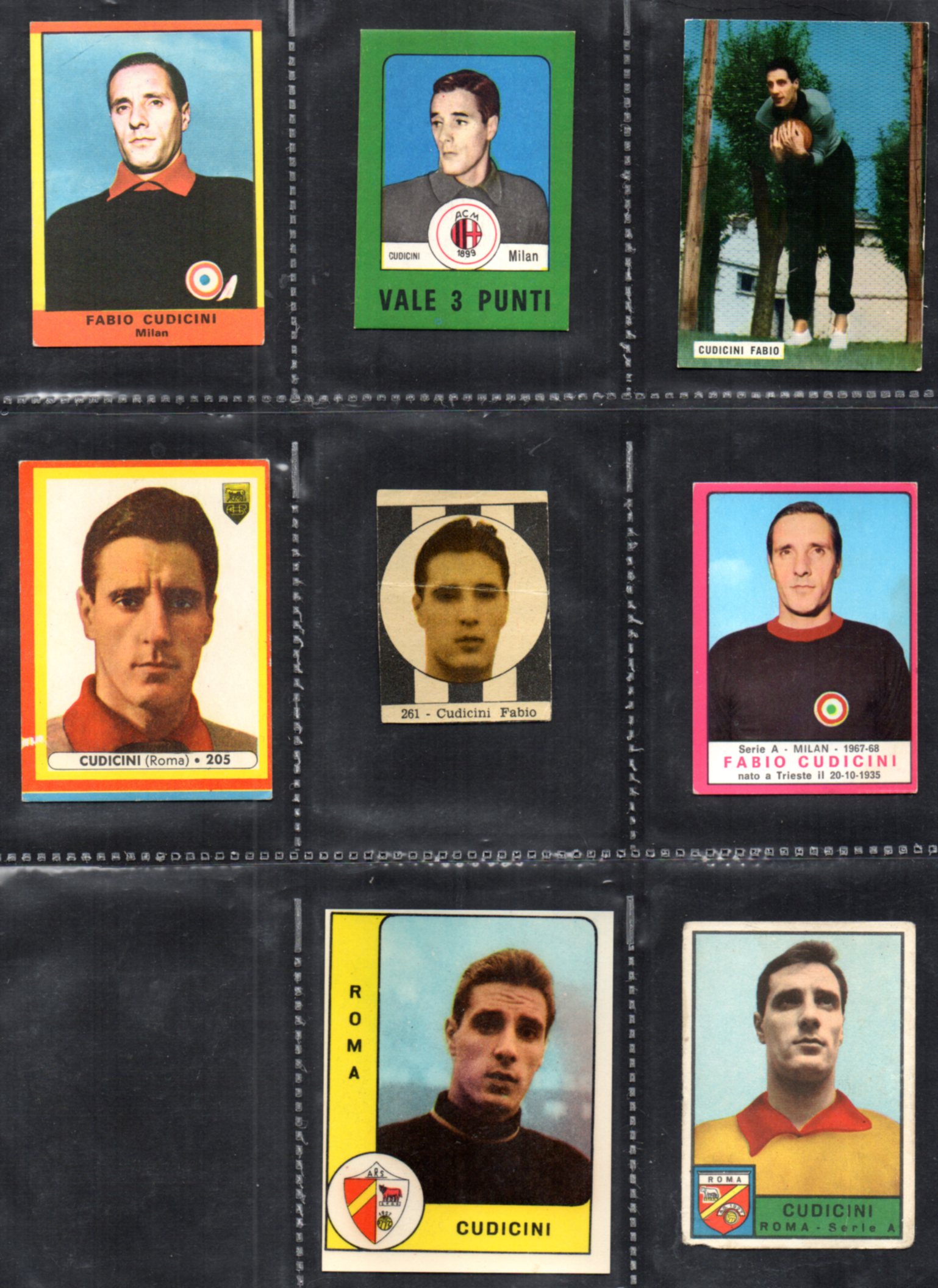 Cudicini F 1